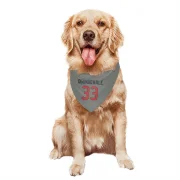 Dare Ogunbowale Houston Texans  Dog & Cat Pet Bandana - Gray