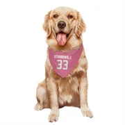 Dare Ogunbowale Houston Texans  Dog & Cat Pet Bandana - Pink