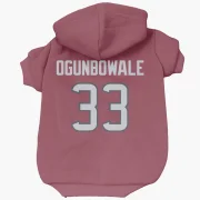 Dare Ogunbowale Houston Texans  Dog & Cat Pet Hoodie - Red