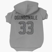 Dare Ogunbowale Houston Texans   Silver Dog & Cat Pet Hoodie